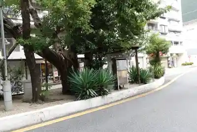 楠木大神の自然