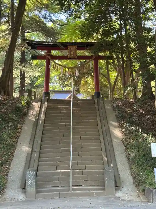 氷川女體神社(埼玉県)