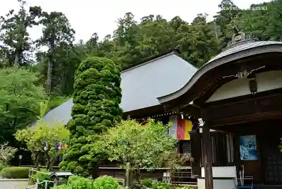 大悲願寺のその他建物
