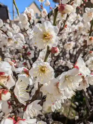 福王山  慈眼寺(東京都)