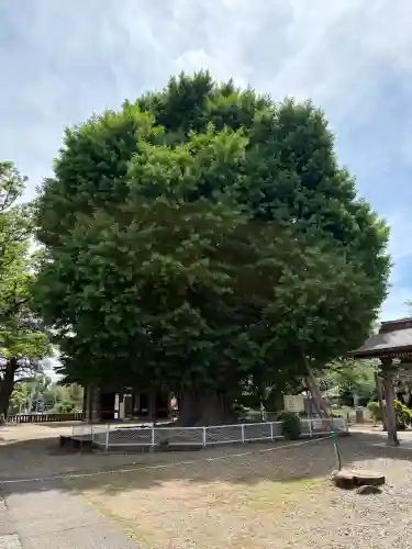 千葉寺(千葉県)