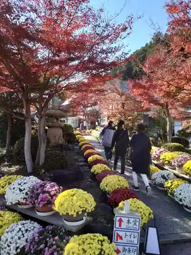 宝徳寺の庭園