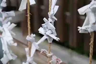 和泉國一之宮 大鳥大社のおみくじ