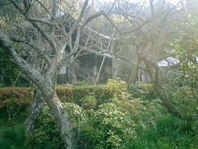 瑞泉寺のその他建物