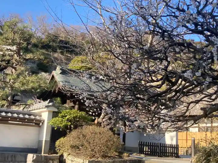 円覚寺(神奈川県)