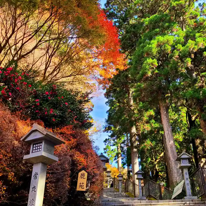 秋葉山本宮 秋葉神社 上社のその他建物