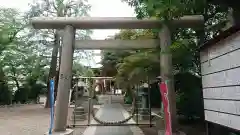 青山熊野神社の鳥居