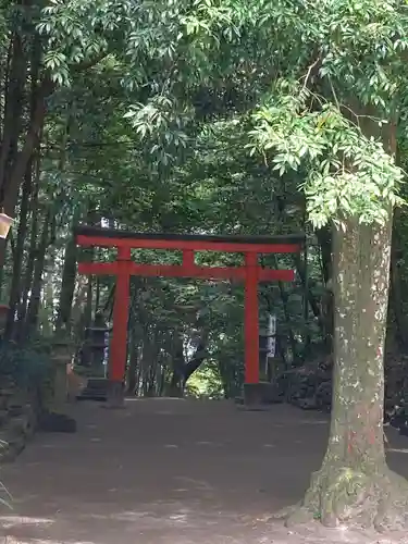 霧島岑神社の鳥居