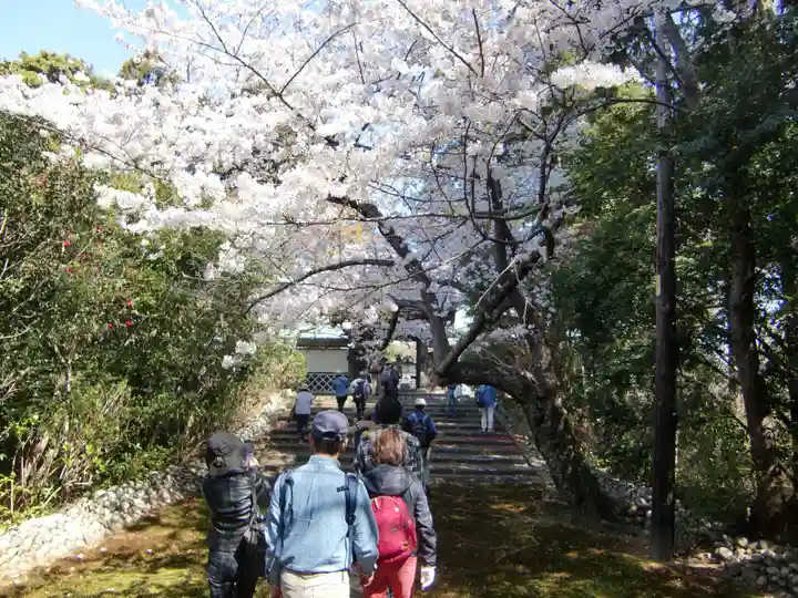 鎌田神明宮(静岡県)