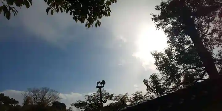 鹿苑寺(金閣寺)(京都府)