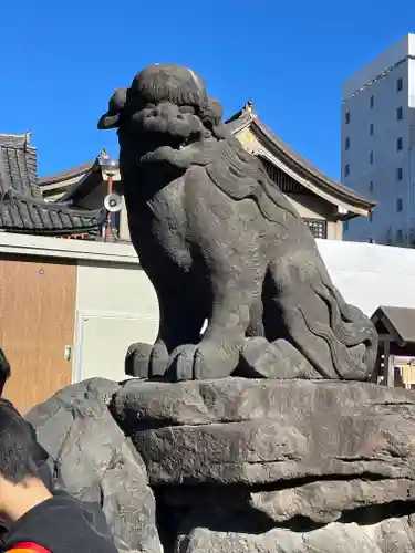 浅草神社の狛犬