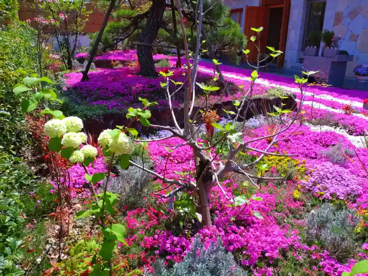 寿量山 速成寺の自然
