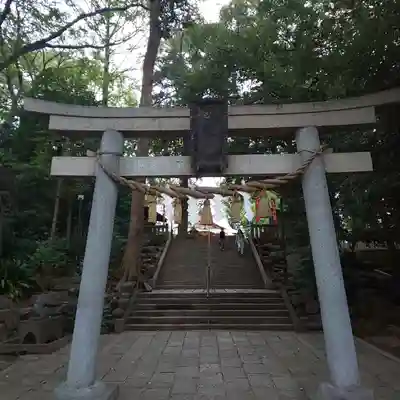 世田谷八幡宮の鳥居