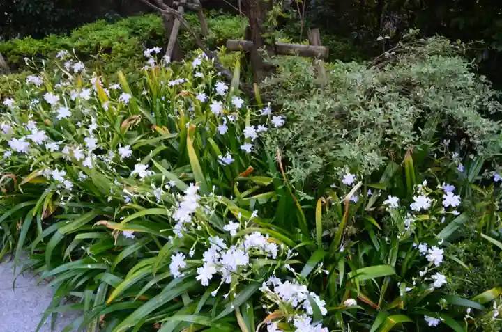 赤城神社の自然