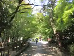 宇治上神社の建物その他