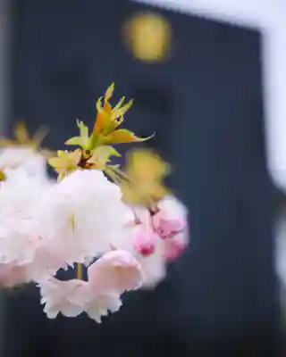 秋田県護國神社(秋田県)