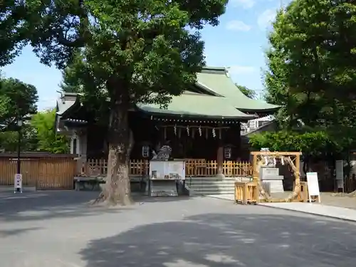 お三の宮日枝神社の本殿・本堂