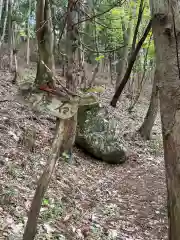 鳥越観音の自然