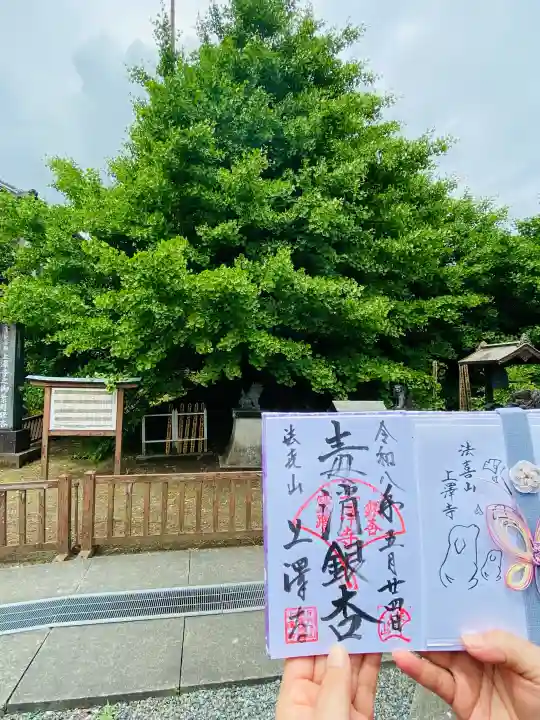 上澤寺の{uncategorized: "未分類", other: "その他", undefined: "問題あり", building: "その他建物", grave: "お墓", sacred_gate: "鳥居", guardian: "狛犬", statue: "像", buddha: "仏像", history: "歴史", nature: "自然", garden: "庭園", animal: "動物", pagoda: "塔", temizu: "手水舎", mountain_gate: "山門・神門", sanctuary: "本殿・本堂", subordinate: "末社・摂社", art: "芸術", scenery: "景色", jizo: "地蔵", ema: "絵馬", goshuin: "御朱印", omikuji: "おみくじ", items: "授与品その他", amulet: "お守り", goshuincho: "御朱印帳", eats: "食事", festival: "お祭り", votive_dance: "神楽", shichigosan: "七五三参", wedding: "結婚式", experience: "体験その他", initially: "初詣", around: "周辺", anti_infection: "感染症対策"}