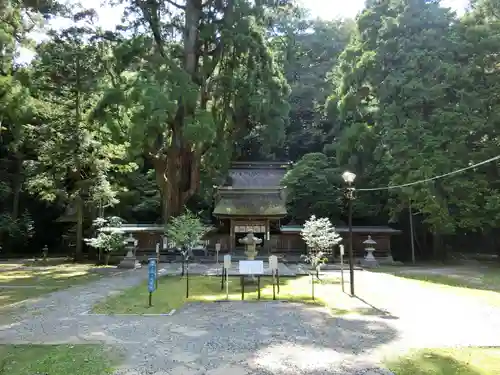 若狭姫神社（若狭彦神社下社）の建物その他