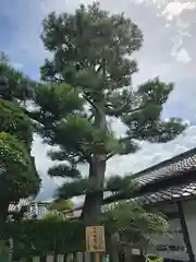 善名称院（真田庵）(和歌山県)