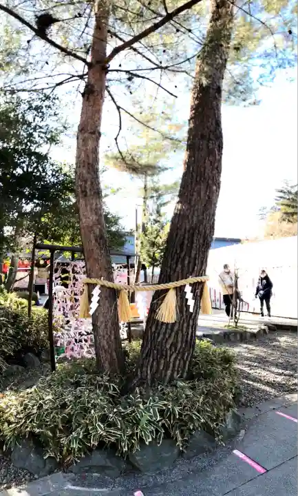 櫻木神社(千葉県)