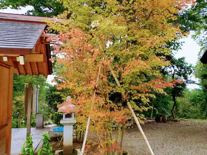 櫛田神社の自然