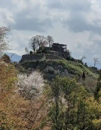 丸山神社の自然