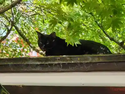 田蓑神社(大阪府)