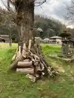 桐野神社の自然