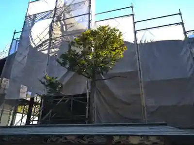 秩父神社のその他建物