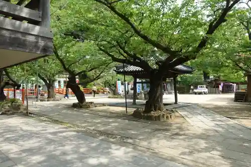 金剛宝寺（紀三井寺）の景色