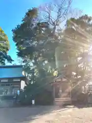 酒列磯前神社の建物その他