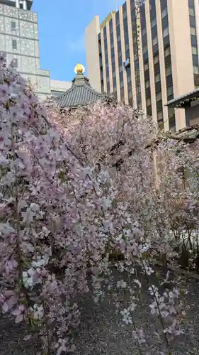 頂法寺（六角堂）(京都府)