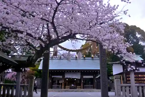 伊勢山皇大神宮(神奈川県)