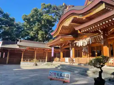 亀ケ池八幡宮の本殿・本堂