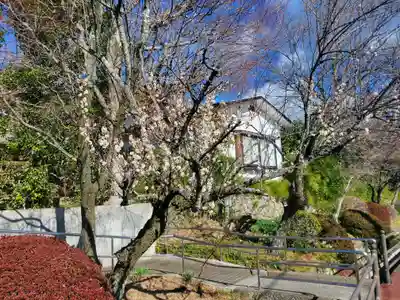 樹覚寺(栃木県)