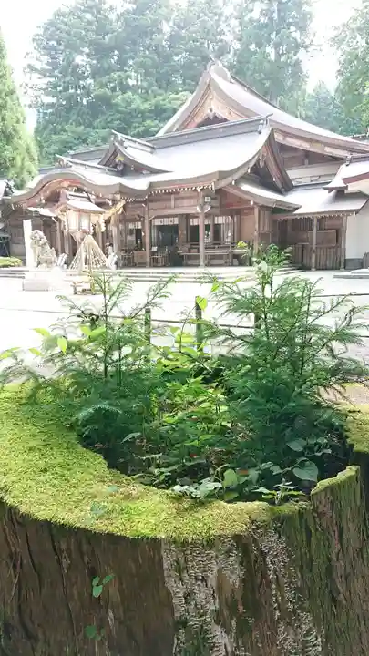 白山比咩神社のその他建物