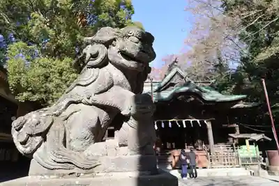 谷保天満宮(東京都)