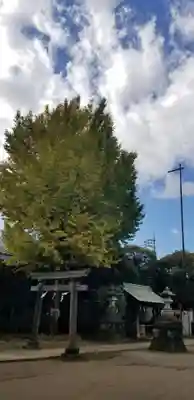 綾瀬稲荷神社の鳥居