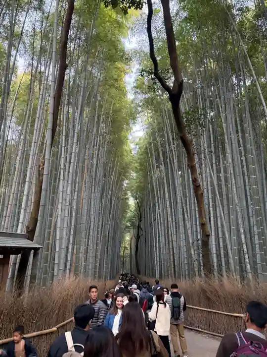 野宮神社(京都府)
