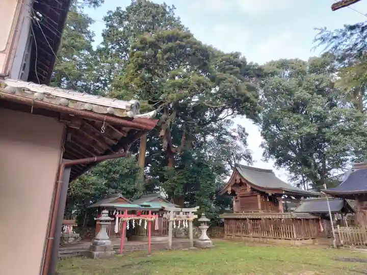 王子神社の{uncategorized: "未分類", other: "その他", undefined: "問題あり", building: "その他建物", grave: "お墓", sacred_gate: "鳥居", guardian: "狛犬", statue: "像", buddha: "仏像", history: "歴史", nature: "自然", garden: "庭園", animal: "動物", pagoda: "塔", temizu: "手水舎", mountain_gate: "山門・神門", sanctuary: "本殿・本堂", subordinate: "末社・摂社", art: "芸術", scenery: "景色", jizo: "地蔵", ema: "絵馬", goshuin: "御朱印", omikuji: "おみくじ", items: "授与品その他", amulet: "お守り", goshuincho: "御朱印帳", eats: "食事", festival: "お祭り", votive_dance: "神楽", shichigosan: "七五三参", wedding: "結婚式", experience: "体験その他", initially: "初詣", around: "周辺", anti_infection: "感染症対策"}