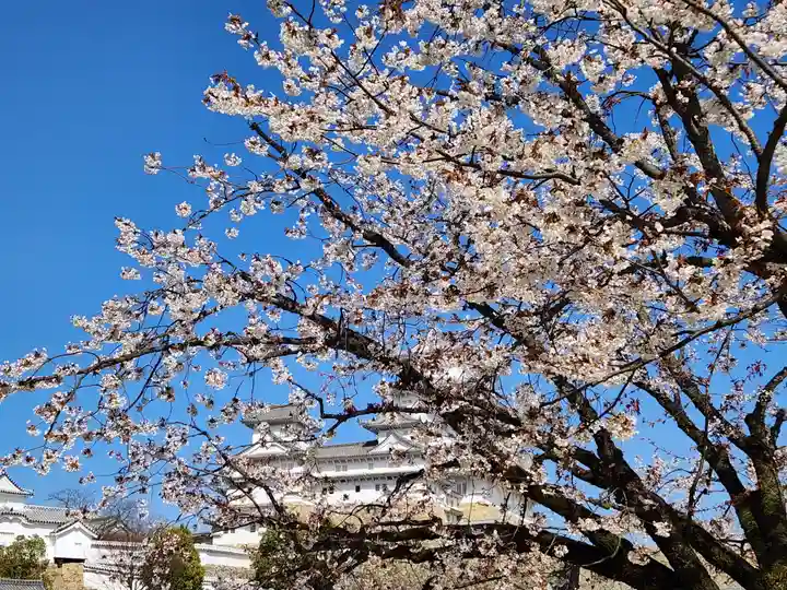 刑部神社の自然