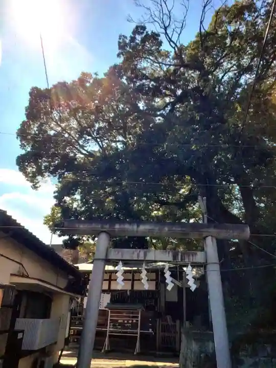 須賀神社(東京都)