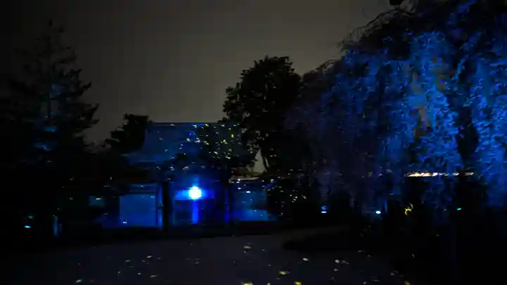 高台寺(高台寿聖禅寺・高臺寺)(京都府)