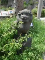 諏訪大神社(神奈川県)