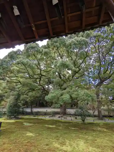 青蓮院門跡(京都府)