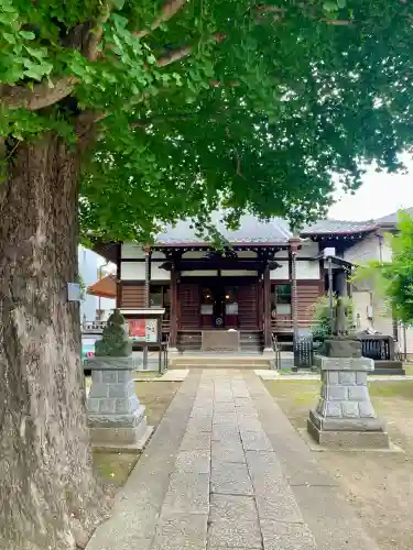 成田山不動大教会(東京都)