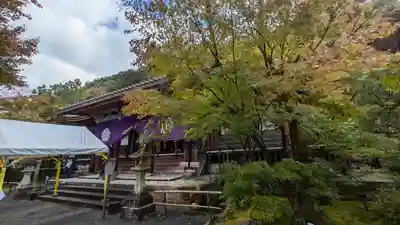 禅林寺(永観堂)(京都府)