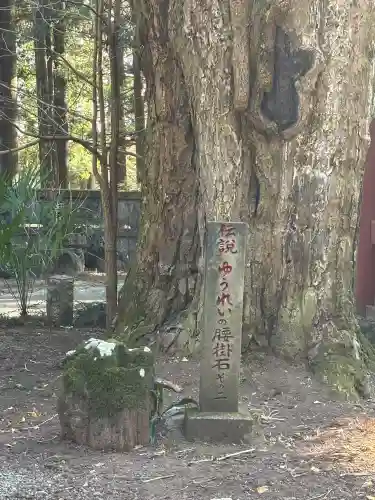 観音寺（寺山観音）の{uncategorized: "未分類", other: "その他", undefined: "問題あり", building: "その他建物", grave: "お墓", sacred_gate: "鳥居", guardian: "狛犬", statue: "像", buddha: "仏像", history: "歴史", nature: "自然", garden: "庭園", animal: "動物", pagoda: "塔", temizu: "手水舎", mountain_gate: "山門・神門", sanctuary: "本殿・本堂", subordinate: "末社・摂社", art: "芸術", scenery: "景色", jizo: "地蔵", ema: "絵馬", goshuin: "御朱印", omikuji: "おみくじ", items: "授与品その他", amulet: "お守り", goshuincho: "御朱印帳", eats: "食事", festival: "お祭り", votive_dance: "神楽", shichigosan: "七五三参", wedding: "結婚式", experience: "体験その他", initially: "初詣", around: "周辺", anti_infection: "感染症対策"}